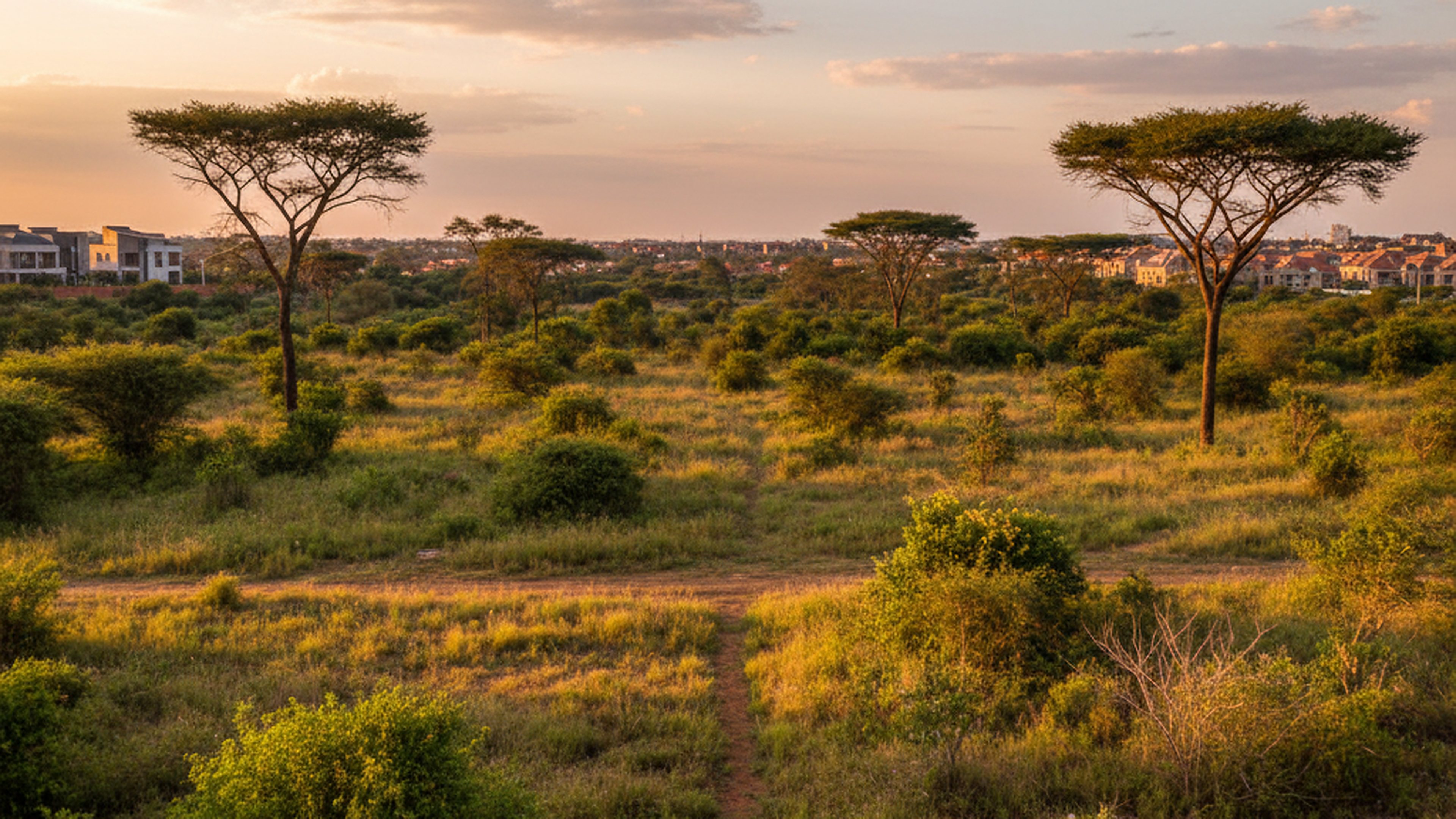 Half-Acre Plots (4), Runda Pan-Afric
