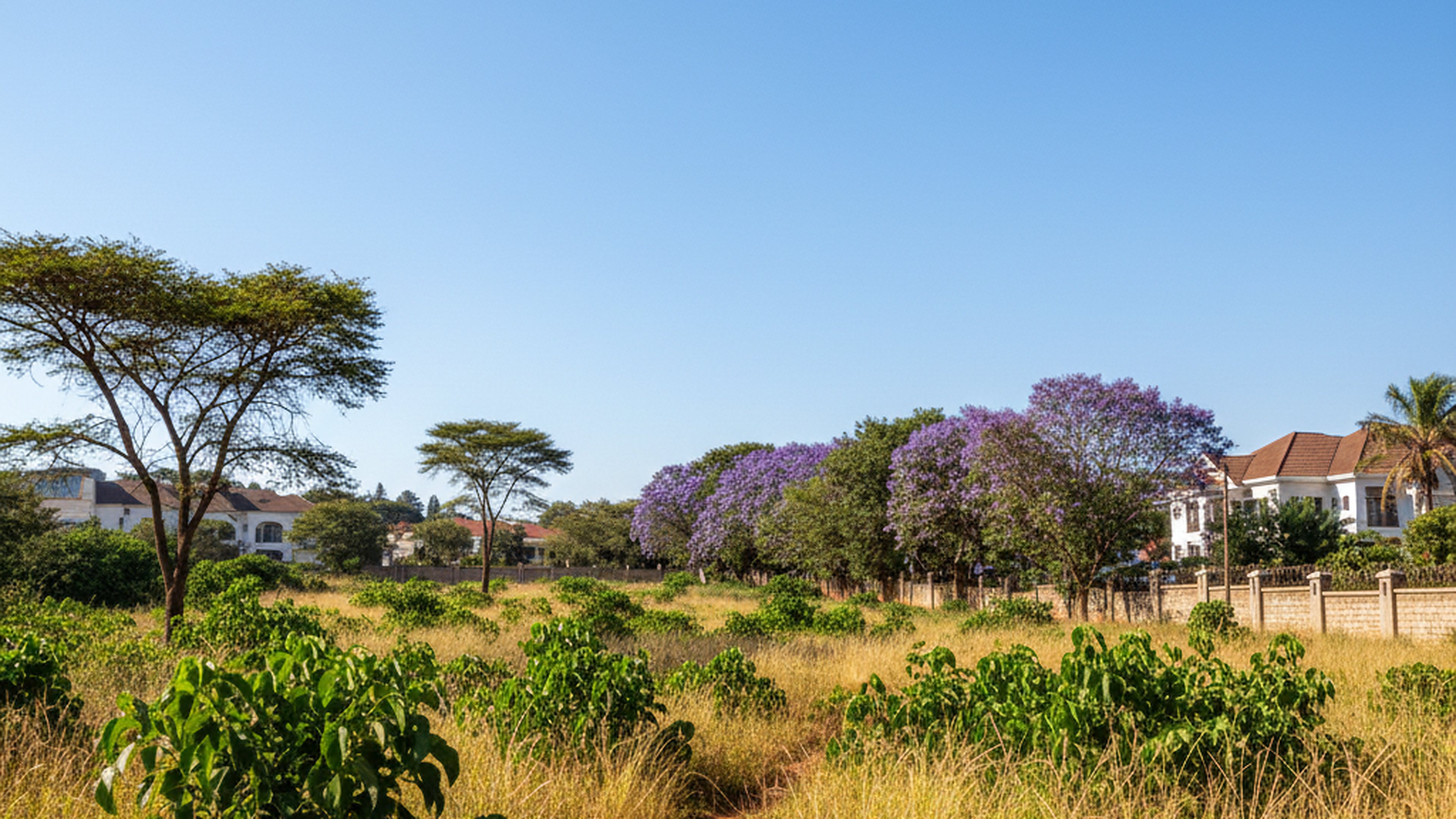 Half-Acre Plot, Gigiri (Village Market)