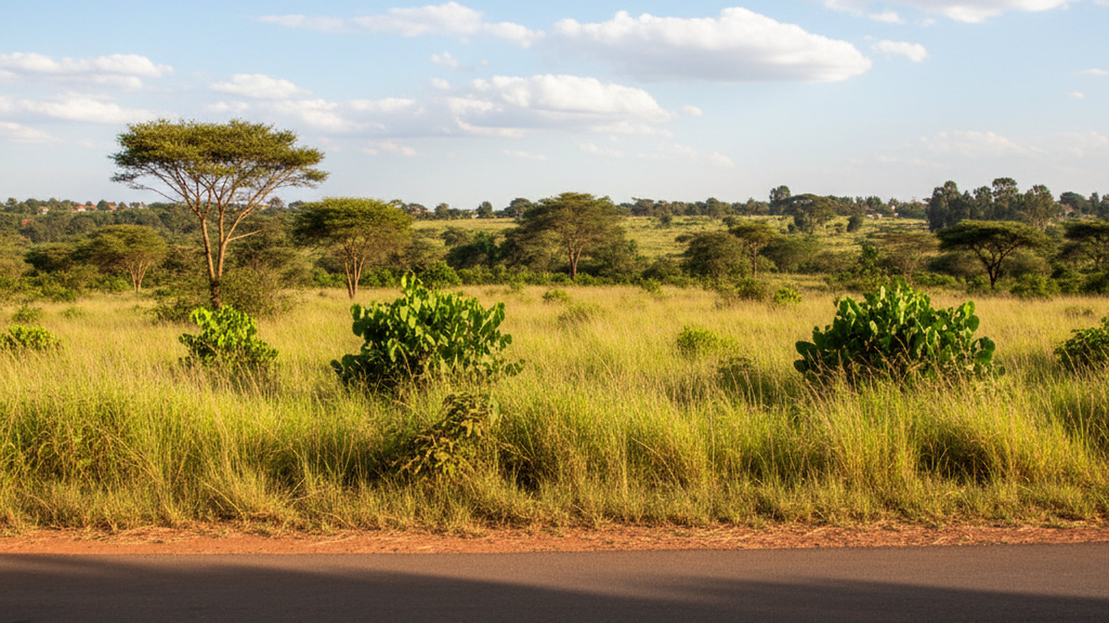 5-Acre Parcel, Dagoretti Road