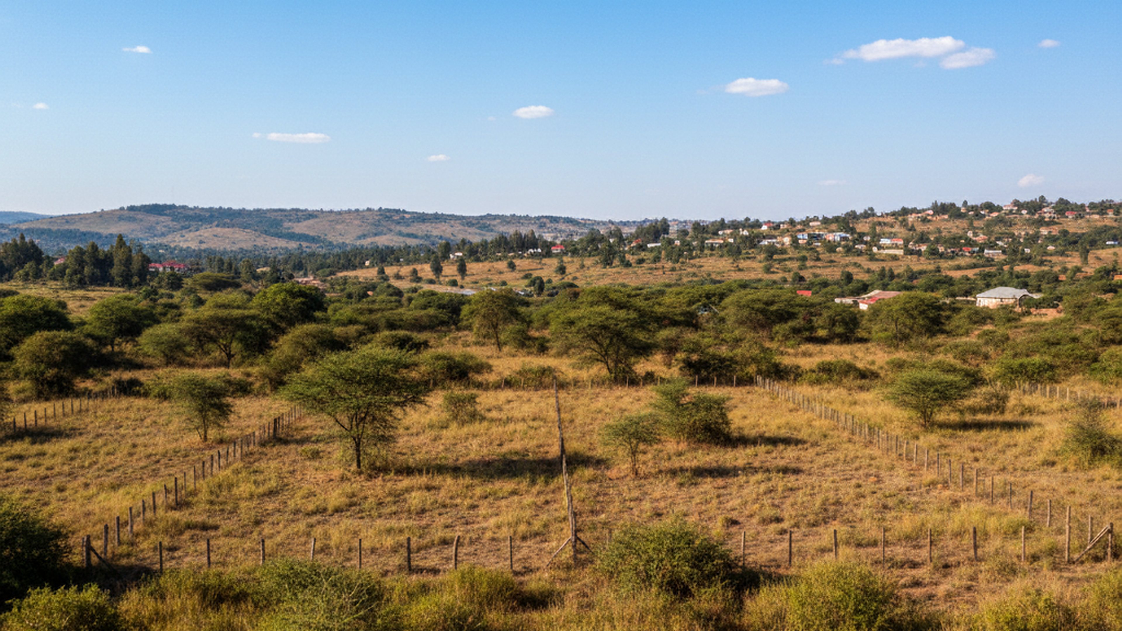 Quarter-Acre Plots (4), Ruaka (Kwa Chief)