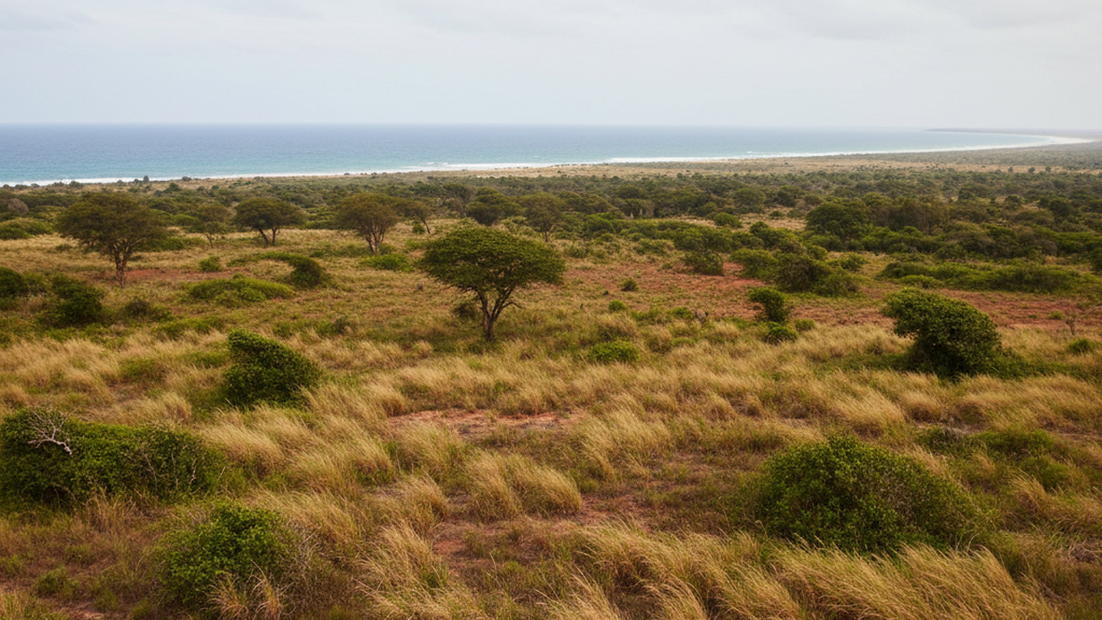 213-Acre Beachfront Parcel, Vipigo
