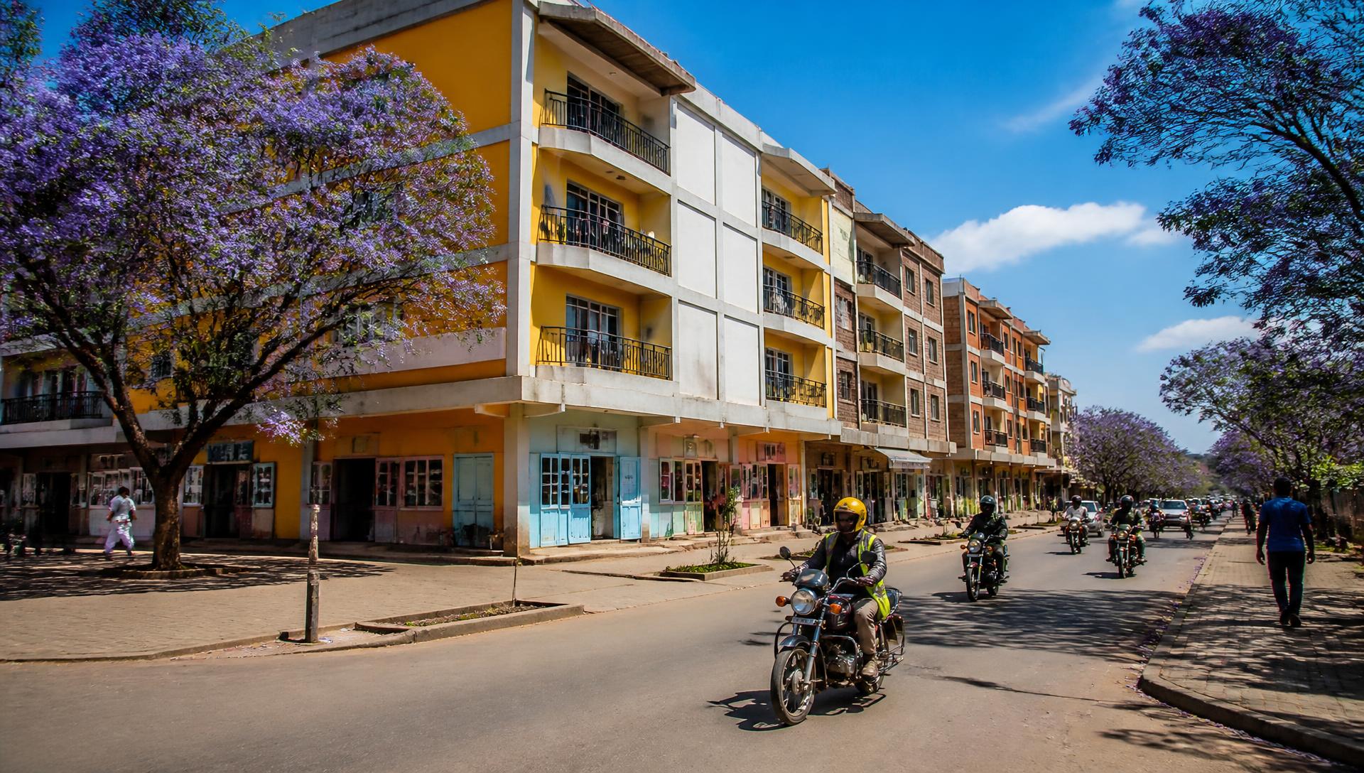 High Density at Zuri Springs