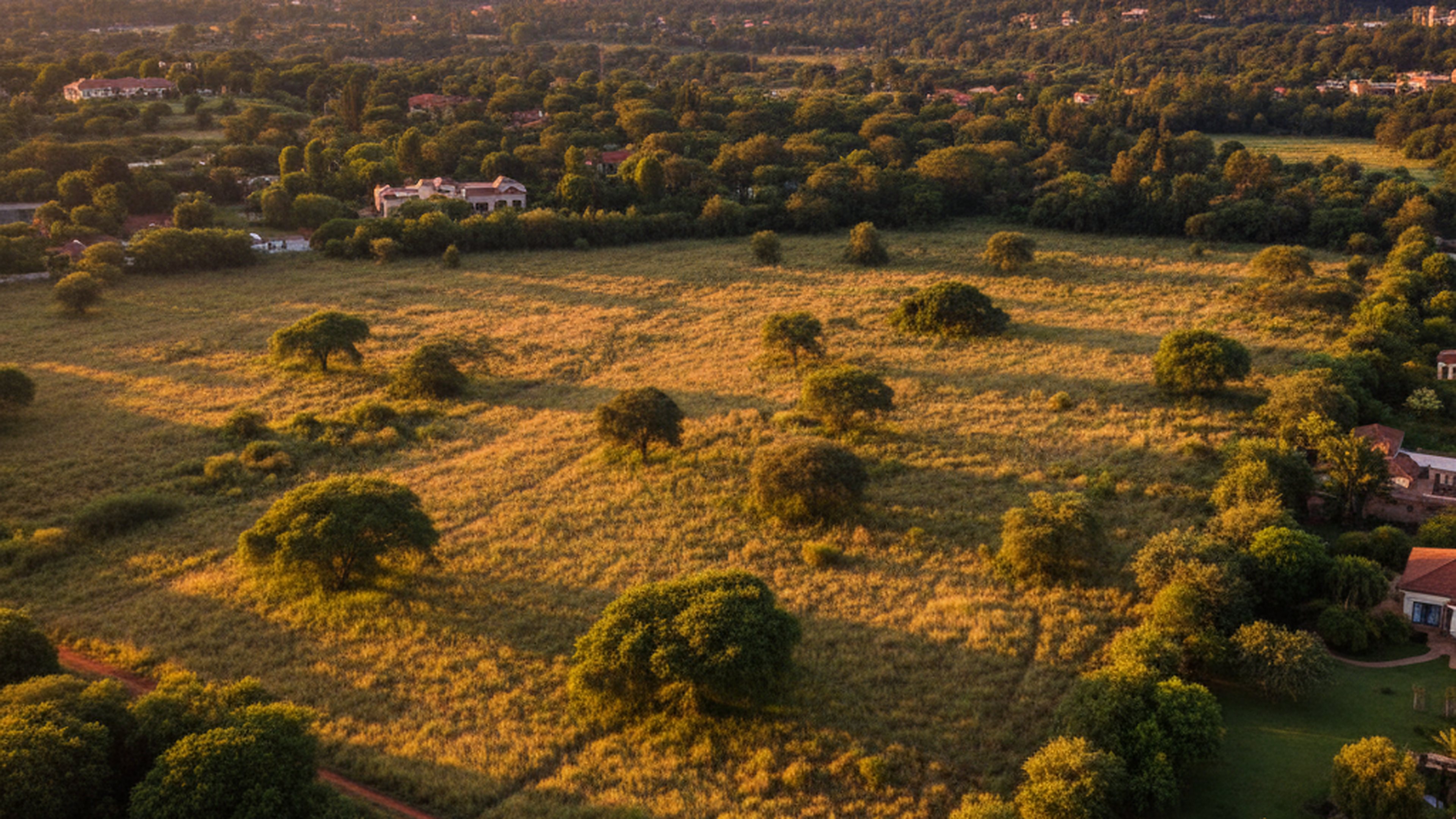 Half-Acre / 1-Acre Plot, Windy Ridge