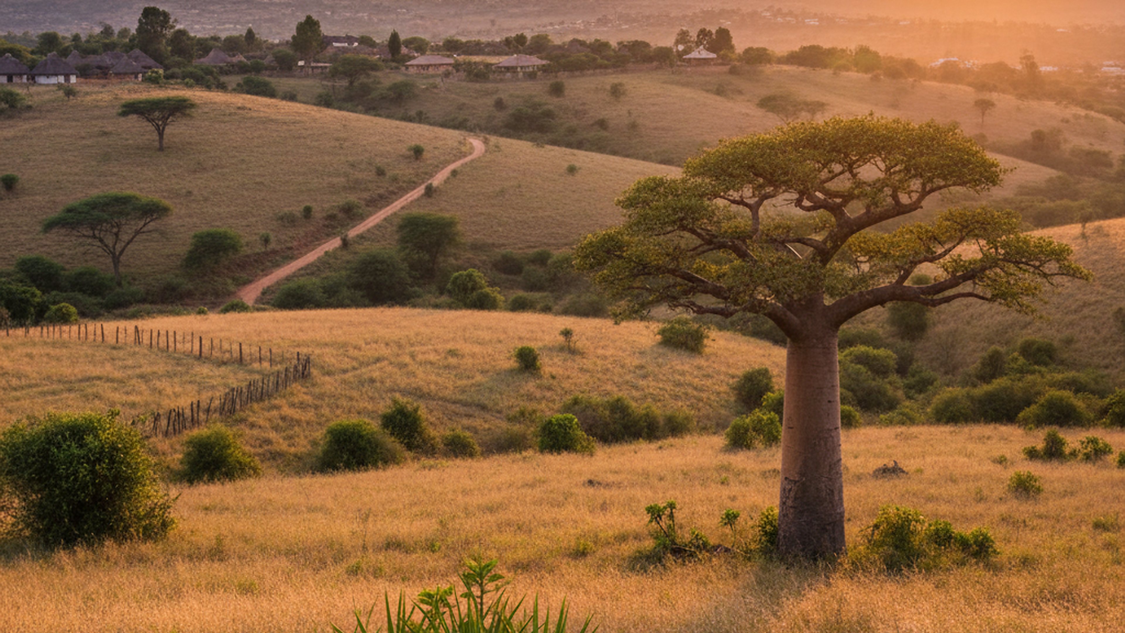 24-Acre Parcel, Ngong Road / Kerarapon