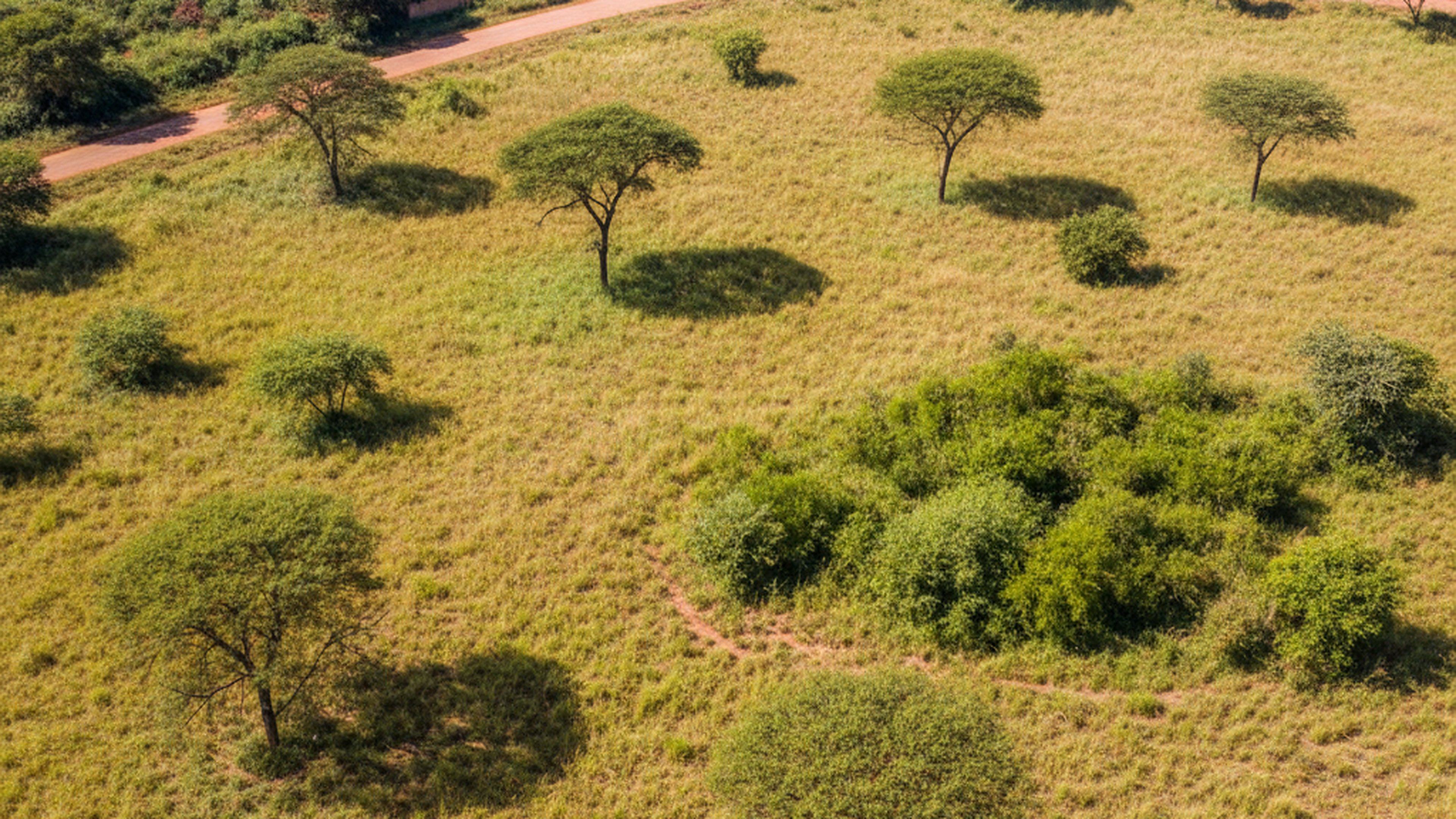 Half-Acre Plot, Ndege Road