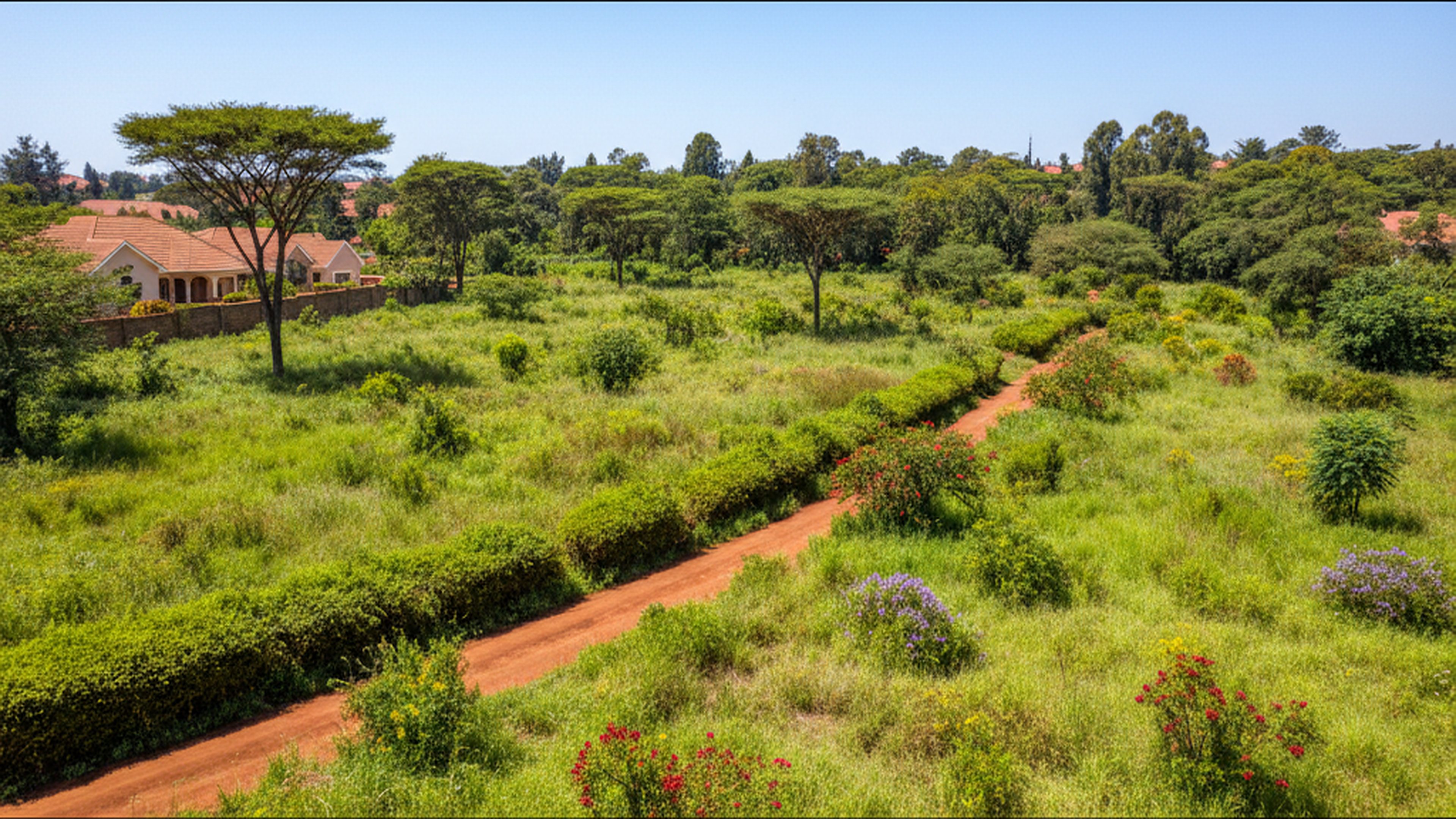 Half-Acre Plot, Runda Kigwaru