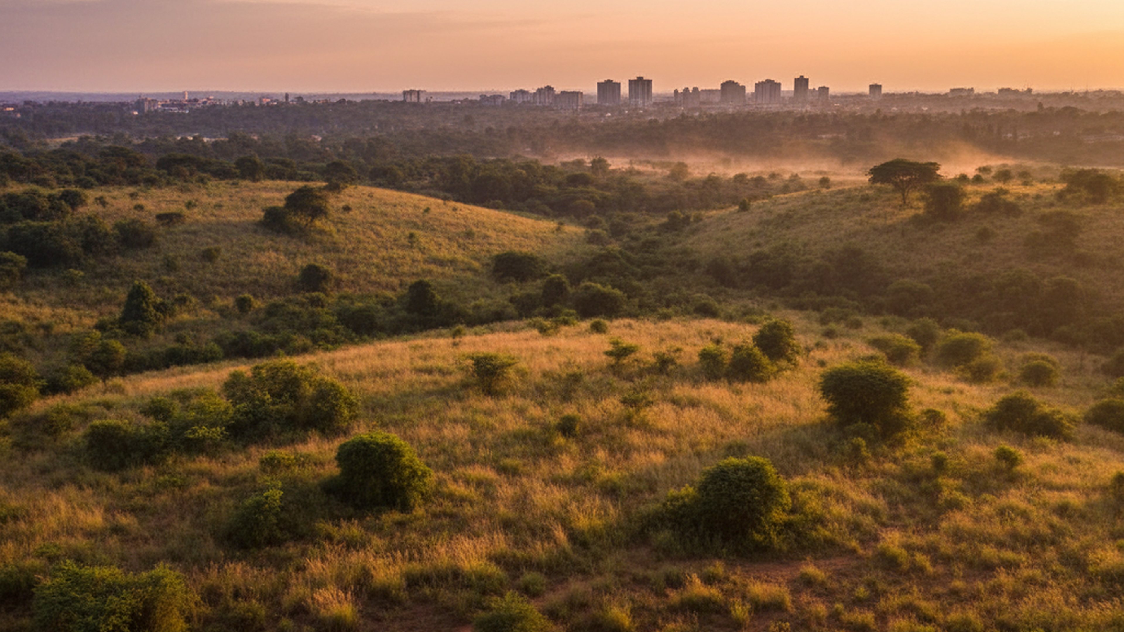35-Acre Parcel, Kasarani